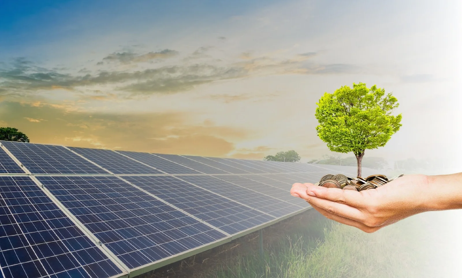 Solar Subsidy Assistance